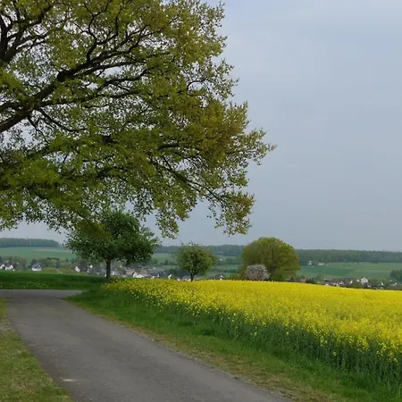 Im Naturpark Rhein-westerwald * Puderbach (Neuwied)
